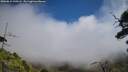./images/calvert/fitz-hugh-hecate/20250812/fitz-hugh-hecate20250812_130508M.jpg