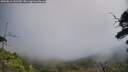 ./images/calvert/fitz-hugh-hecate/20250812/fitz-hugh-hecate20250812_131510M.jpg