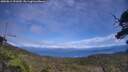 ./images/calvert/fitz-hugh-hecate/20250812/fitz-hugh-hecate20250812_151010M.jpg