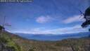 ./images/calvert/fitz-hugh-hecate/20250812/fitz-hugh-hecate20250812_151511M.jpg