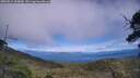 ./images/calvert/fitz-hugh-hecate/20250812/fitz-hugh-hecate20250812_154010M.jpg