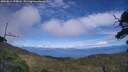 ./images/calvert/fitz-hugh-hecate/20250812/fitz-hugh-hecate20250812_155008M.jpg