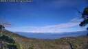 ./images/calvert/fitz-hugh-hecate/20250812/fitz-hugh-hecate20250812_162509M.jpg