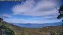 ./images/calvert/fitz-hugh-hecate/20250812/fitz-hugh-hecate20250812_171510M.jpg