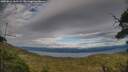 ./images/calvert/fitz-hugh-hecate/20250812/fitz-hugh-hecate20250812_180508M.jpg