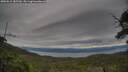./images/calvert/fitz-hugh-hecate/20250812/fitz-hugh-hecate20250812_185510M.jpg