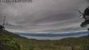 ./images/calvert/fitz-hugh-hecate/20250812/fitz-hugh-hecate20250812_190507M.jpg