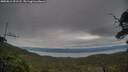 ./images/calvert/fitz-hugh-hecate/20250812/fitz-hugh-hecate20250812_191508M.jpg