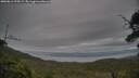 ./images/calvert/fitz-hugh-hecate/20250812/fitz-hugh-hecate20250812_192009M.jpg