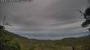 ./images/calvert/fitz-hugh-hecate/20250812/fitz-hugh-hecate20250812_192508M.jpg