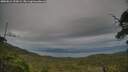 ./images/calvert/fitz-hugh-hecate/20250812/fitz-hugh-hecate20250812_193009M.jpg