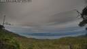 ./images/calvert/fitz-hugh-hecate/20250812/fitz-hugh-hecate20250812_193509M.jpg
