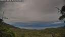 ./images/calvert/fitz-hugh-hecate/20250812/fitz-hugh-hecate20250812_194508M.jpg