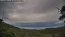 ./images/calvert/fitz-hugh-hecate/20250812/fitz-hugh-hecate20250812_195010M.jpg
