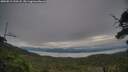 ./images/calvert/fitz-hugh-hecate/20250812/fitz-hugh-hecate20250812_200508M.jpg