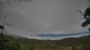 ./images/calvert/fitz-hugh-hecate/20250812/fitz-hugh-hecate20250812_202507M.jpg