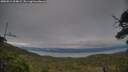 ./images/calvert/fitz-hugh-hecate/20250812/fitz-hugh-hecate20250812_204009M.jpg