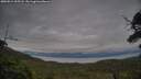 ./images/calvert/fitz-hugh-hecate/20250812/fitz-hugh-hecate20250812_205508M.jpg