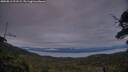 ./images/calvert/fitz-hugh-hecate/20250812/fitz-hugh-hecate20250812_211508M.jpg