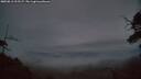 ./images/calvert/fitz-hugh-hecate/20250812/fitz-hugh-hecate20250812_213506M.jpg