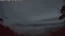 ./images/calvert/fitz-hugh-hecate/20250812/fitz-hugh-hecate20250812_214009M.jpg