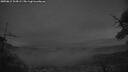 ./images/calvert/fitz-hugh-hecate/20250812/fitz-hugh-hecate20250812_214508M.jpg