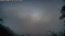./images/calvert/fitz-hugh-hecate/20250813/fitz-hugh-hecate20250813_054007M.jpg