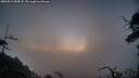 ./images/calvert/fitz-hugh-hecate/20250813/fitz-hugh-hecate20250813_054508M.jpg