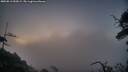 ./images/calvert/fitz-hugh-hecate/20250813/fitz-hugh-hecate20250813_055009M.jpg