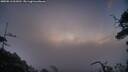 ./images/calvert/fitz-hugh-hecate/20250813/fitz-hugh-hecate20250813_061011M.jpg