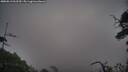 ./images/calvert/fitz-hugh-hecate/20250813/fitz-hugh-hecate20250813_062510M.jpg