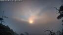 ./images/calvert/fitz-hugh-hecate/20250813/fitz-hugh-hecate20250813_064009M.jpg