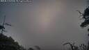./images/calvert/fitz-hugh-hecate/20250813/fitz-hugh-hecate20250813_065510M.jpg