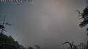 ./images/calvert/fitz-hugh-hecate/20250813/fitz-hugh-hecate20250813_070009M.jpg