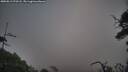 ./images/calvert/fitz-hugh-hecate/20250813/fitz-hugh-hecate20250813_070508M.jpg