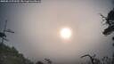 ./images/calvert/fitz-hugh-hecate/20250813/fitz-hugh-hecate20250813_072510M.jpg