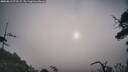 ./images/calvert/fitz-hugh-hecate/20250813/fitz-hugh-hecate20250813_073508M.jpg