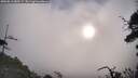 ./images/calvert/fitz-hugh-hecate/20250813/fitz-hugh-hecate20250813_080509M.jpg