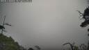 ./images/calvert/fitz-hugh-hecate/20250813/fitz-hugh-hecate20250813_083010M.jpg
