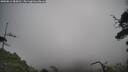 ./images/calvert/fitz-hugh-hecate/20250813/fitz-hugh-hecate20250813_084510M.jpg