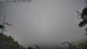 ./images/calvert/fitz-hugh-hecate/20250813/fitz-hugh-hecate20250813_085509M.jpg