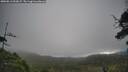 ./images/calvert/fitz-hugh-hecate/20250813/fitz-hugh-hecate20250813_092007M.jpg