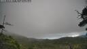 ./images/calvert/fitz-hugh-hecate/20250813/fitz-hugh-hecate20250813_094008M.jpg