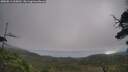./images/calvert/fitz-hugh-hecate/20250813/fitz-hugh-hecate20250813_100012M.jpg
