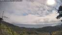 ./images/calvert/fitz-hugh-hecate/20250813/fitz-hugh-hecate20250813_100510M.jpg