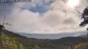 ./images/calvert/fitz-hugh-hecate/20250813/fitz-hugh-hecate20250813_101010M.jpg