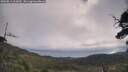 ./images/calvert/fitz-hugh-hecate/20250813/fitz-hugh-hecate20250813_102010M.jpg