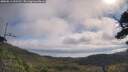 ./images/calvert/fitz-hugh-hecate/20250813/fitz-hugh-hecate20250813_103510M.jpg