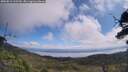 ./images/calvert/fitz-hugh-hecate/20250813/fitz-hugh-hecate20250813_112510M.jpg