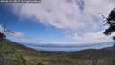 ./images/calvert/fitz-hugh-hecate/20250813/fitz-hugh-hecate20250813_114009M.jpg